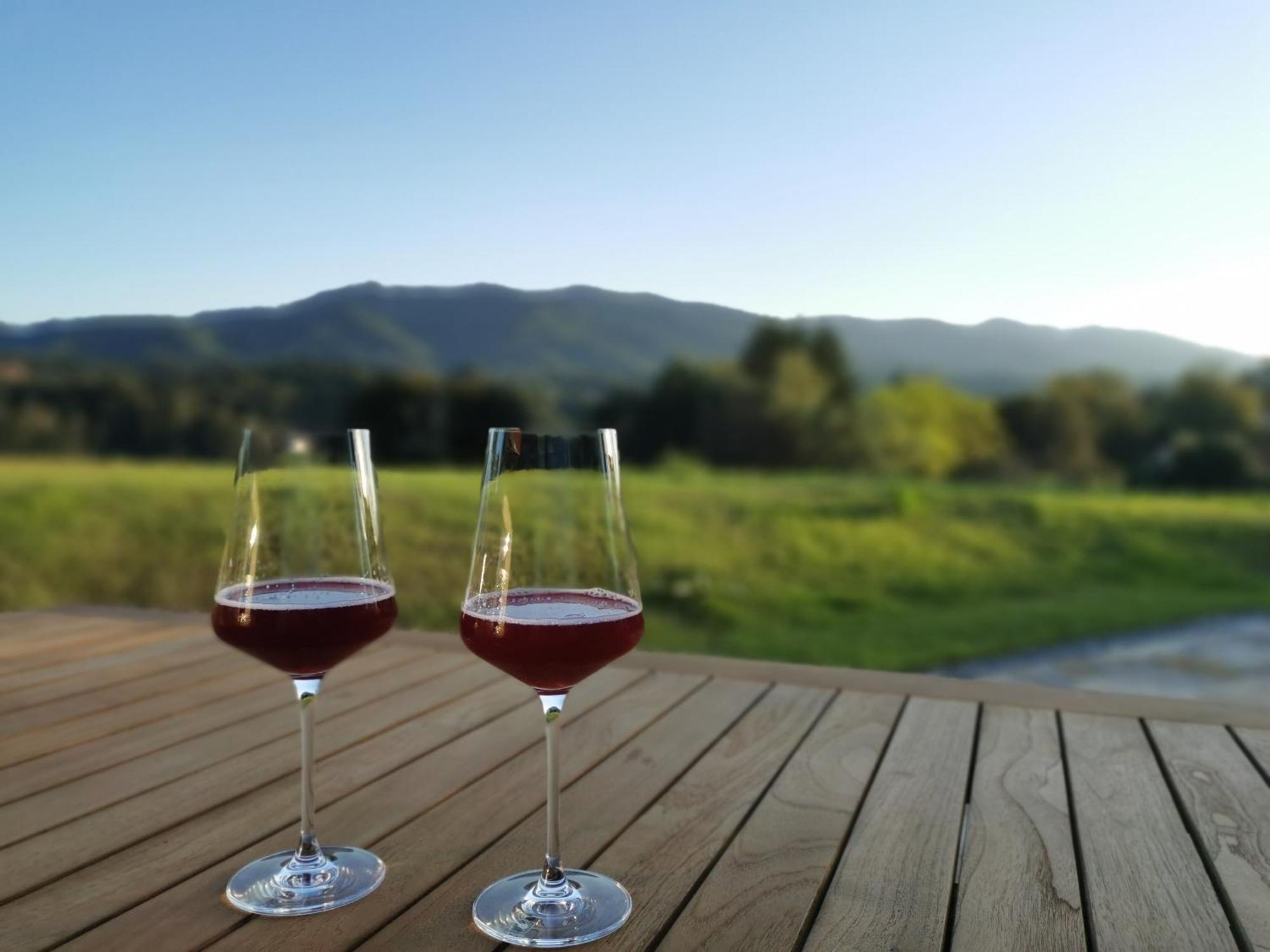 Traumhaftes Ferienhaus am Lateinberg - 8455 Eibiswald Südsteiermark Villa Kültér fotó