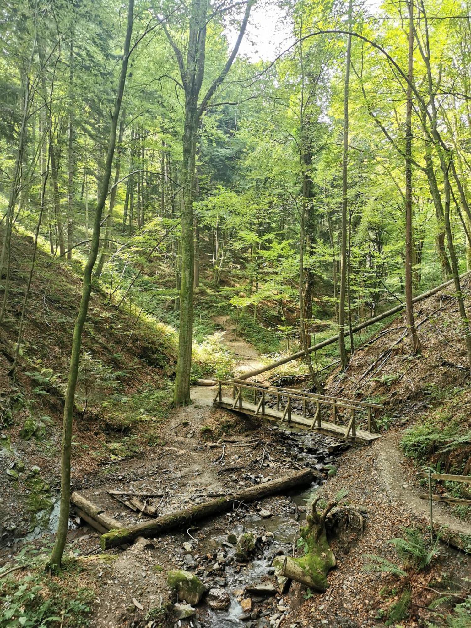 Traumhaftes Ferienhaus Am Lateinberg - 8455 Eibiswald Suedsteiermark Kültér fotó