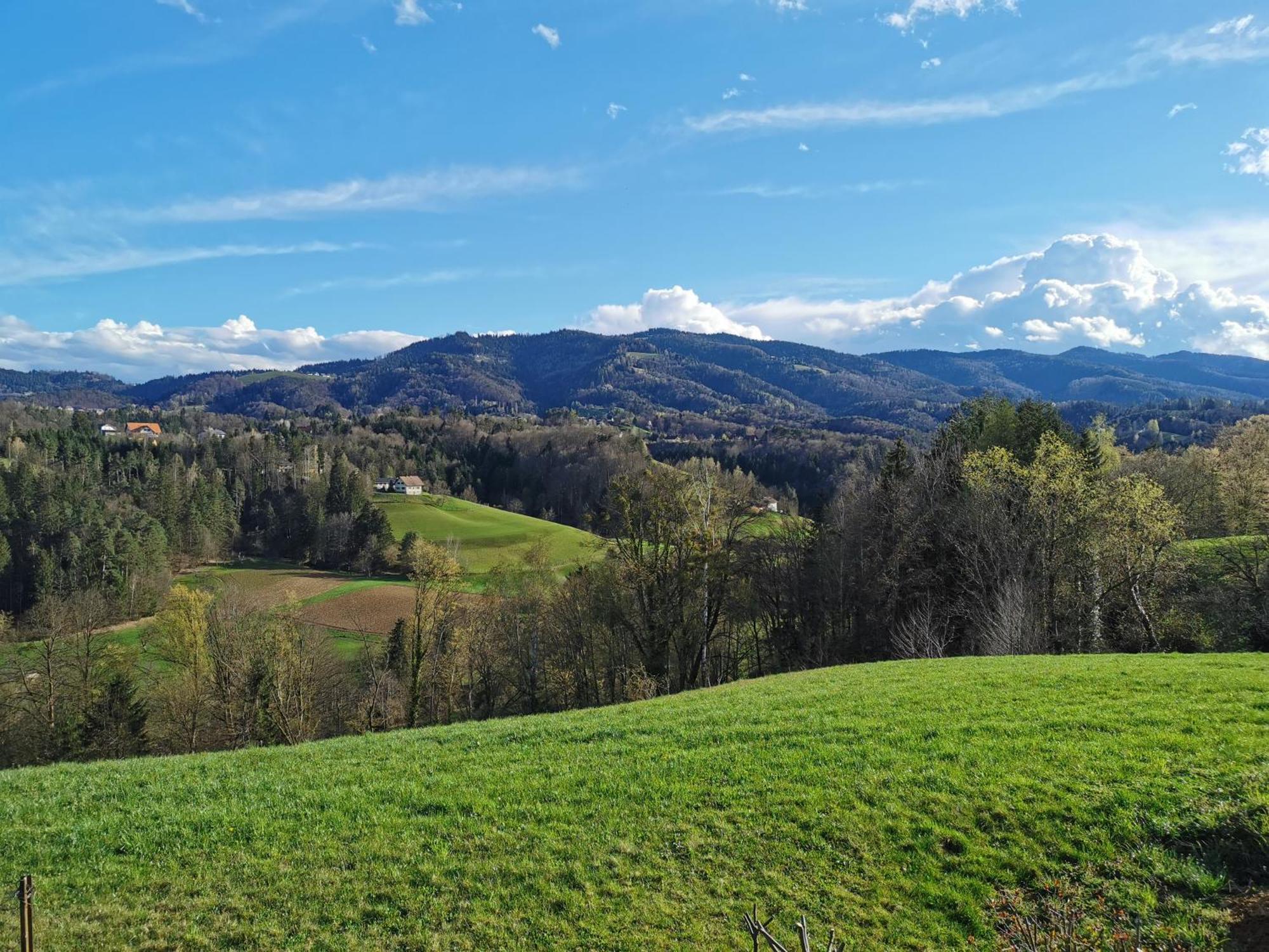Traumhaftes Ferienhaus Am Lateinberg - 8455 Eibiswald Suedsteiermark Kültér fotó